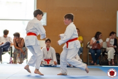 STAGE-ENFANTS-ET-BABY-KARATE-18MAI2025-172