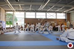STAGE-ENFANTS-ET-BABY-KARATE-18MAI2025-176