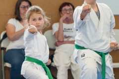 STAGE-ENFANTS-ET-BABY-KARATE-18MAI2025-177