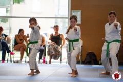STAGE-ENFANTS-ET-BABY-KARATE-18MAI2025-181