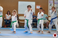 STAGE-ENFANTS-ET-BABY-KARATE-18MAI2025-182