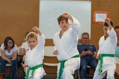 STAGE-ENFANTS-ET-BABY-KARATE-18MAI2025-184