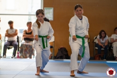 STAGE-ENFANTS-ET-BABY-KARATE-18MAI2025-188
