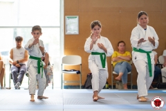 STAGE-ENFANTS-ET-BABY-KARATE-18MAI2025-190