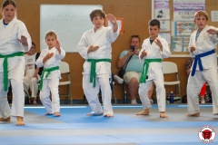 STAGE-ENFANTS-ET-BABY-KARATE-18MAI2025-191