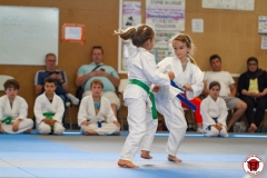 STAGE-ENFANTS-ET-BABY-KARATE-18MAI2025-193