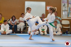 STAGE-ENFANTS-ET-BABY-KARATE-18MAI2025-194