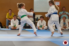 STAGE-ENFANTS-ET-BABY-KARATE-18MAI2025-195