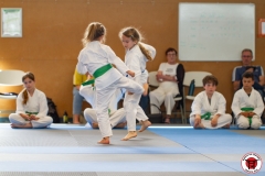 STAGE-ENFANTS-ET-BABY-KARATE-18MAI2025-196