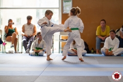 STAGE-ENFANTS-ET-BABY-KARATE-18MAI2025-197