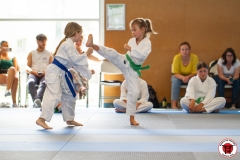 STAGE-ENFANTS-ET-BABY-KARATE-18MAI2025-199
