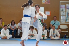 STAGE-ENFANTS-ET-BABY-KARATE-18MAI2025-201