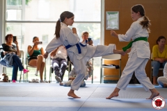 STAGE-ENFANTS-ET-BABY-KARATE-18MAI2025-202