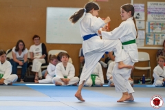 STAGE-ENFANTS-ET-BABY-KARATE-18MAI2025-204