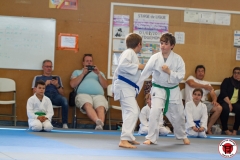 STAGE-ENFANTS-ET-BABY-KARATE-18MAI2025-206