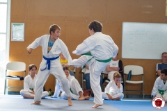 STAGE-ENFANTS-ET-BABY-KARATE-18MAI2025-207