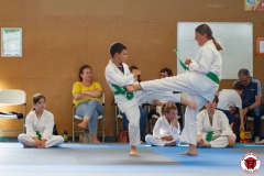 STAGE-ENFANTS-ET-BABY-KARATE-18MAI2025-209