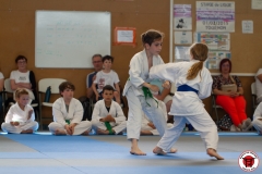 STAGE-ENFANTS-ET-BABY-KARATE-18MAI2025-210