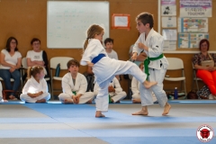 STAGE-ENFANTS-ET-BABY-KARATE-18MAI2025-211