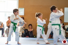STAGE-ENFANTS-ET-BABY-KARATE-18MAI2025-214