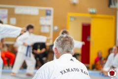 STAGE-ENFANTS-ET-BABY-KARATE-18MAI2025-215