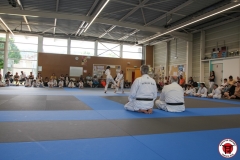 STAGE-ENFANTS-ET-BABY-KARATE-18MAI2025-217