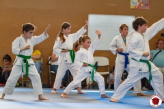 STAGE-ENFANTS-ET-BABY-KARATE-18MAI2025-219