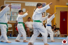 STAGE-ENFANTS-ET-BABY-KARATE-18MAI2025-220