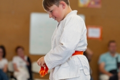 STAGE-ENFANTS-ET-BABY-KARATE-18MAI2025-237