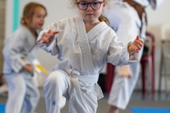 STAGE-ENFANTS-ET-BABY-KARATE-18MAI2025-25