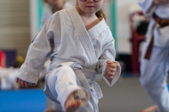 STAGE-ENFANTS-ET-BABY-KARATE-18MAI2025-26