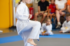 STAGE-ENFANTS-ET-BABY-KARATE-18MAI2025-28