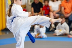 STAGE-ENFANTS-ET-BABY-KARATE-18MAI2025-29