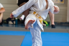 STAGE-ENFANTS-ET-BABY-KARATE-18MAI2025-31