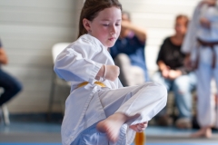 STAGE-ENFANTS-ET-BABY-KARATE-18MAI2025-32