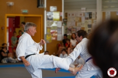 STAGE-ENFANTS-ET-BABY-KARATE-18MAI2025-37
