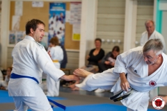 STAGE-ENFANTS-ET-BABY-KARATE-18MAI2025-38