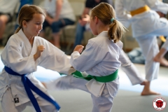 STAGE-ENFANTS-ET-BABY-KARATE-18MAI2025-40