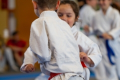 STAGE-ENFANTS-ET-BABY-KARATE-18MAI2025-41