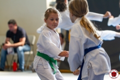STAGE-ENFANTS-ET-BABY-KARATE-18MAI2025-42