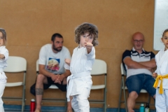 STAGE-ENFANTS-ET-BABY-KARATE-18MAI2025-43