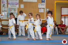 STAGE-ENFANTS-ET-BABY-KARATE-18MAI2025-45