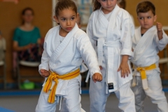 STAGE-ENFANTS-ET-BABY-KARATE-18MAI2025-47