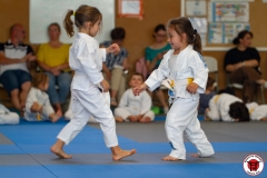 STAGE-ENFANTS-ET-BABY-KARATE-18MAI2025-52
