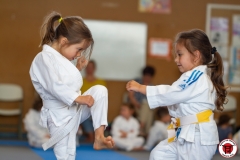 STAGE-ENFANTS-ET-BABY-KARATE-18MAI2025-54