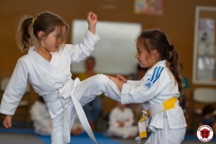 STAGE-ENFANTS-ET-BABY-KARATE-18MAI2025-55