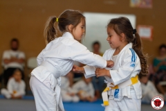 STAGE-ENFANTS-ET-BABY-KARATE-18MAI2025-56