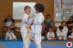 STAGE-ENFANTS-ET-BABY-KARATE-18MAI2025-57