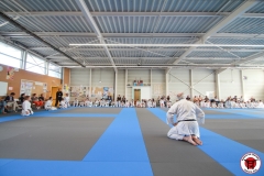 STAGE-ENFANTS-ET-BABY-KARATE-18MAI2025-58