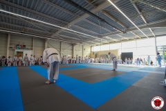 STAGE-ENFANTS-ET-BABY-KARATE-18MAI2025-59